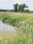 Oldietour_Havelland_20080620_P1070919