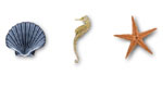 Sommertour2010 150x80