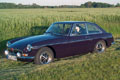 conrad 80x120 72 mgb 11