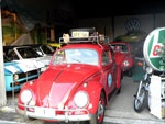 kolle web 06 t