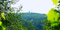 Blick zum Inselsberg