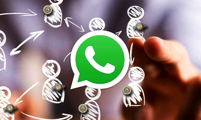 WhatsApp Gruppe 667 400 72 2